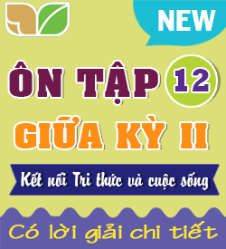 Ôn tập Giữa Học kỳ II (KNTT_T12)